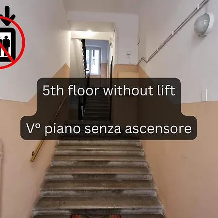 Sui Tetti Di Trieste